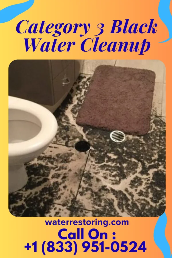 Category 3 Black Water Cleanup in Chestertown, MD