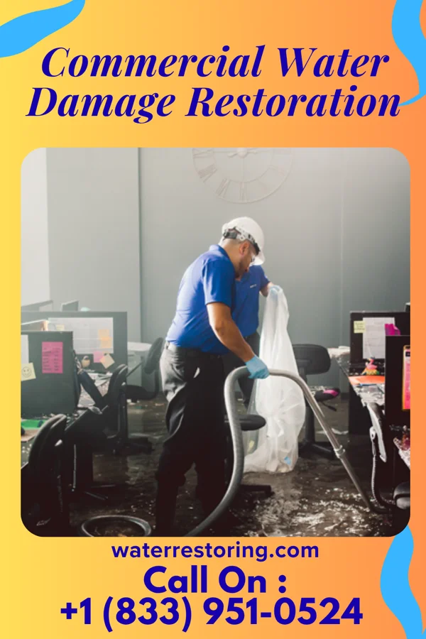 Commercial Water Damage Restoration in Chestertown, MD