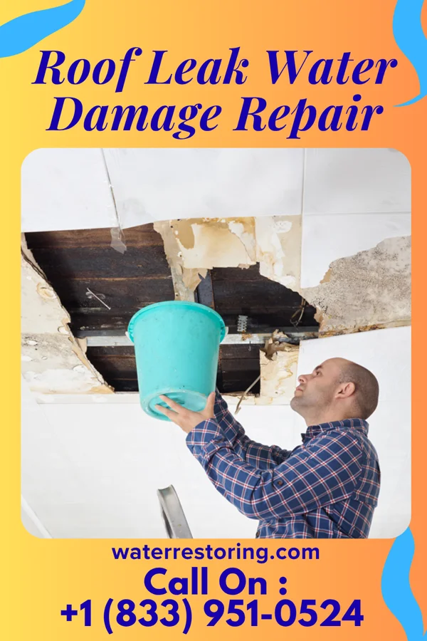 Roof Leak Water Damage Repair in Chestertown, MD