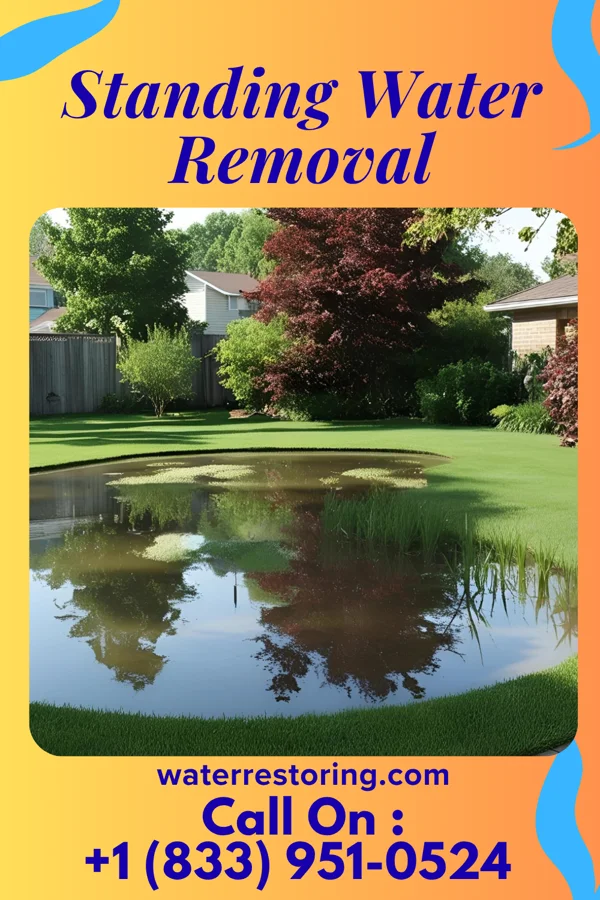 Standing Water Removal in Chestertown, MD